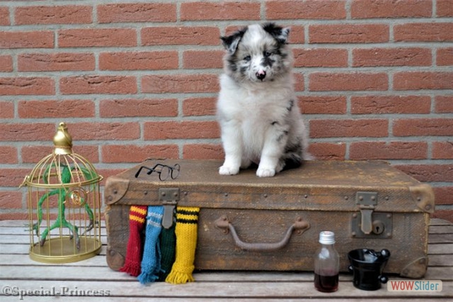 Mizuki is klaar voor haar reis naar Hogwarts